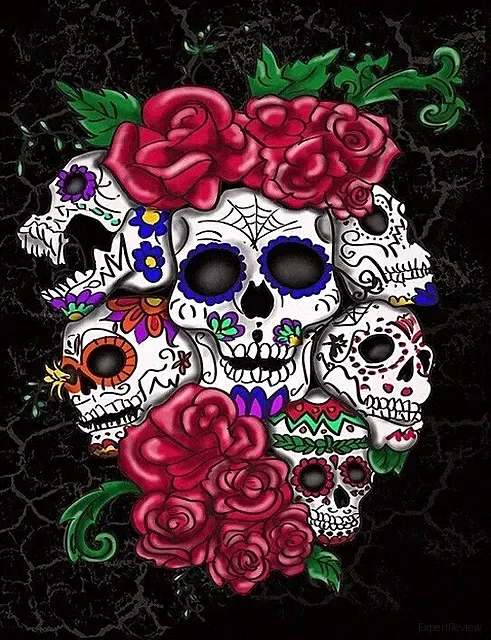New Six Skulls & Roses Plush Throw Gift Blanket Sherpa Ardras Day of the Dead